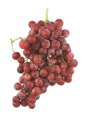 Seedless red grapes
