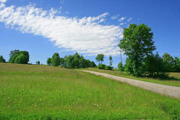 Wiese Bayerischer Wald