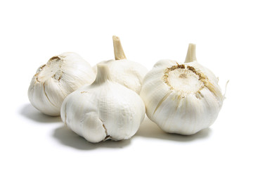 Garlic