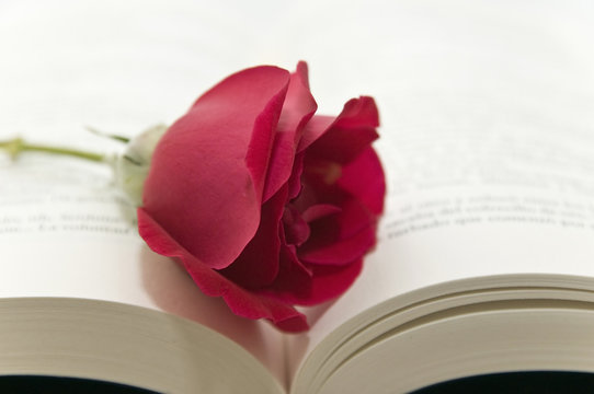 lectura 23