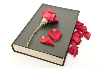 lectura 3