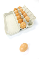Free Range Eggs
