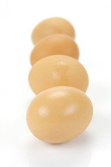 Free Range Eggs
