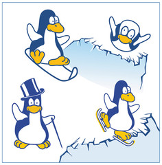 vector penguin