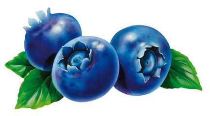 Obraz premium Blaubeeren