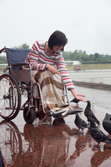 young woman in an invalid carriage feeds pigeons