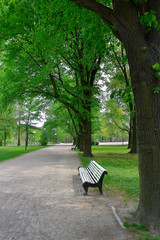 Park in Old Tallinn