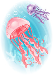 jellyfish © Jut