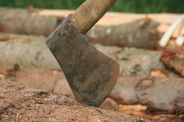 bucheronnage