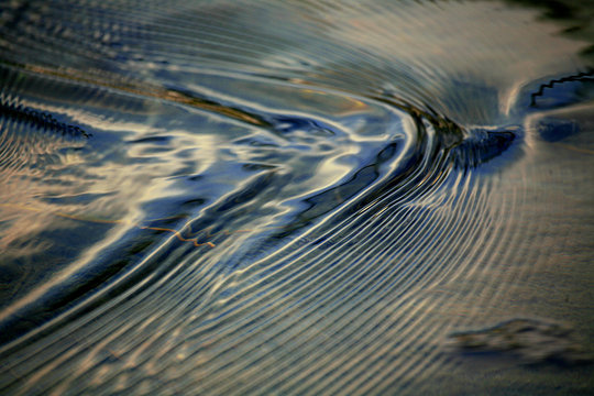 acqua 40