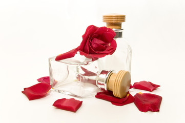 regalo 9