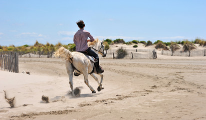 galop en camargue