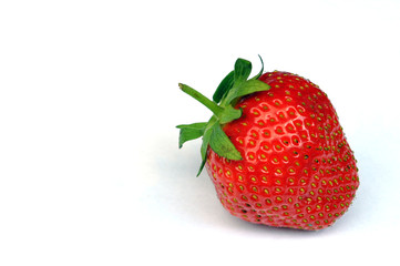 erdbeere