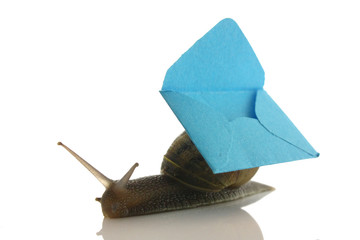 snail with mini envelope