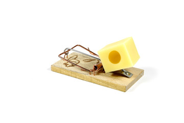 Mausefalle