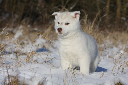 T3 Ftcdn Net Jpg 00 14 99 62 360 F 1zn