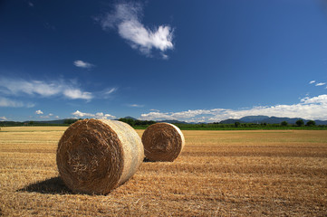 balle di fieno