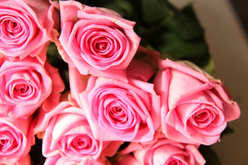 Fototapeta na wymiar bright roses