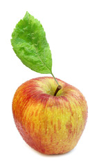 Apple red yellow with leaf