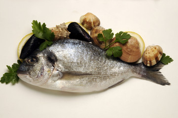 Orata e frutti di mare crudi