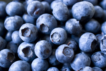 Heidelbeeren1