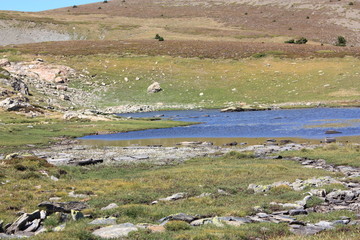 Mare,Camporells,Pyrénées orientales