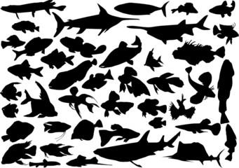 Naklejka premium fish silhouettes large collection