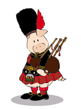scot pig