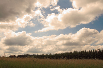 landschaft in Saarland