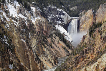 Fototapeta na wymiar Yellowstone National Park - Lower Falls