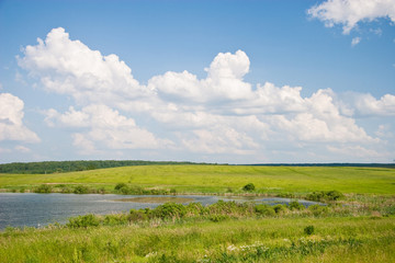 Summer landscape
