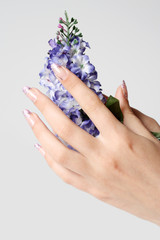 Female hands hold flowers