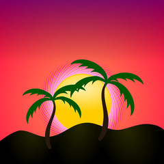 Fototapeta na wymiar palmen im sonnenuntergang
