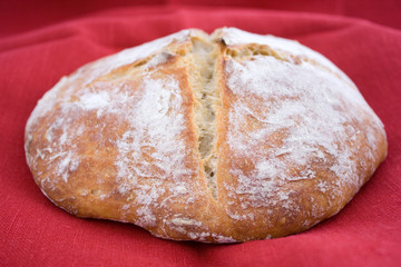 White wheat bread