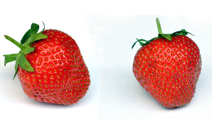 erdbeeren