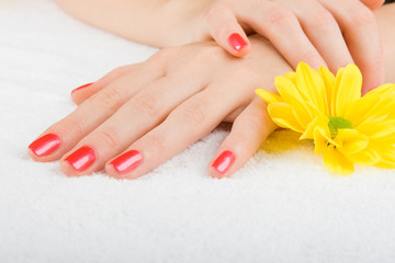 Fototapeta premium care for beautiful woman hands