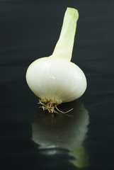 white onion with reflection on black background