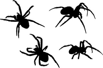 four black spiders