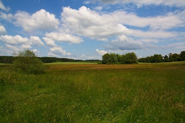 Fototapeta premium Brandenburger Landschaft