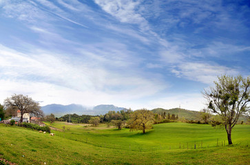 Fototapeta premium Landscape of an italian village