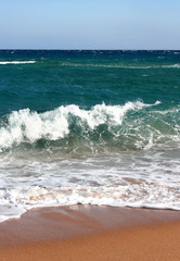 Egypt . Beach in Charm an ale the Sheikh