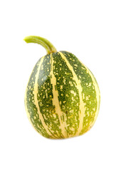 pumpkin on a white background