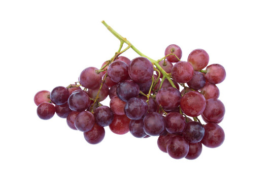 Grape cluste