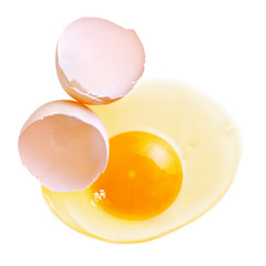 egg