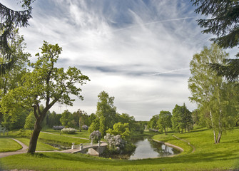 Fototapeta na wymiar Picturesque view of summer park