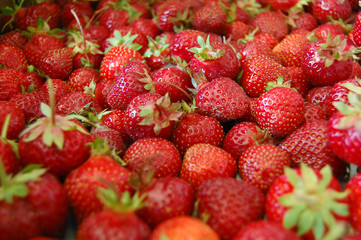 Strawberries, a pile