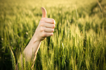 Close-up of a male hand OK