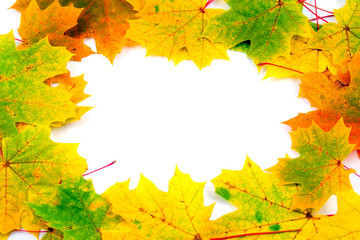 Fall frame with maple leaves