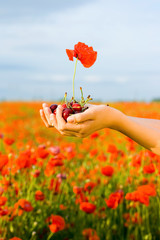 Hand with cherry and poppy