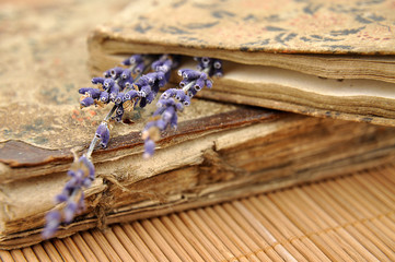 Obraz na płótnie Canvas Lavender on Old Books